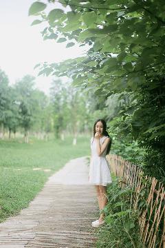 骄阳似我电视剧免费观看完整版